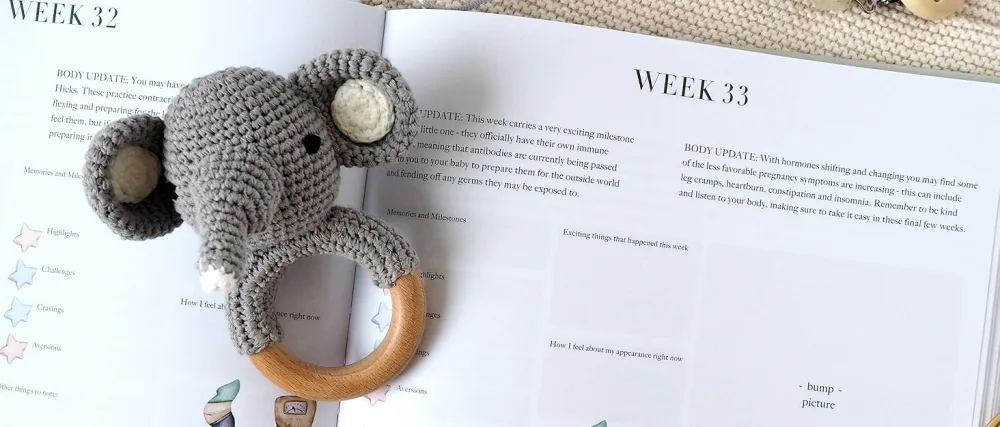 Pregnancy Journal and Memory Book Gift Pregnancy Diary for Expecting New Mums - Includes Calendar Scrapbook Checklist and Organiser (Teddy Bear) - Pregnancy Journals & Baby Memory Books