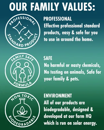 Dirtbusters Pro Carpet Cleaner Shampoo Solution Deep Clean & Protect For A Professional Clean With Stain Protection Technology & Odour Treatment (5L) - dirtbusters carpet cleaner shampoo