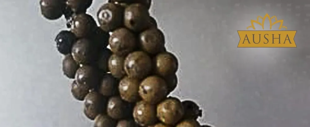 Ausha Green Peppercorns in Brine - green peppercorns