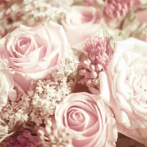 Baylis & Harding Royale Garden Rose Poppy & Vanilla Luxury Manicure Gift Set (Pack of 1) - Vegan Friendly - Lifestyle Image