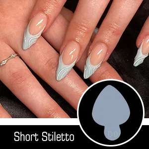 BNG 288 Pcs Dual Nail Forms Poly Nail Tips Extension 8 * 24 Dual Forms & 4 * 24 Stickers Transparent Acrylic Gel Dual Forms with Full Coverage 12 Sizes DIY Nail Art Salon Tool Mold Q-B - dual forms french forma sticker
