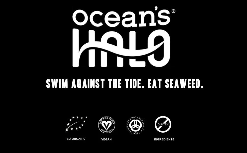 Ocean's Halo Ramen Broth 946 ml - Ocean
