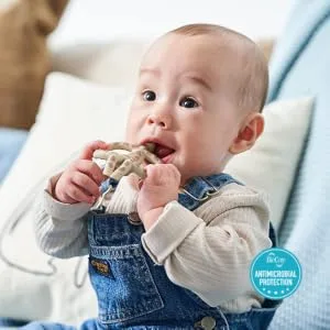 Matchstick Monkey Antimicrobial Silicone Teether & Gel Applicator Easy To Grip BPA Free 3 Months Old+ 11 cm Gigi Giraffe Pack of 1 Gigi Giraffe 3 Months Old+ 1 Animal Teether - GGT5