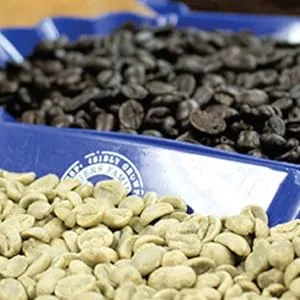 San Francisco Bay Coffee DECAF Gourmet Blend Whole Bean 908g - quality coffee, whole bean coffee, origin, green coffee, san francisco bay