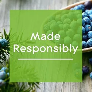 Glade Aromatherapy Reed Diffusers Essential Oils Diffuser with Refreshing Fragrance Refreshing Energy with Rosemary & Juniper 80ml 80 ml (Pack of 1) Refreshing Energy - made respo