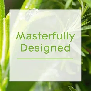 Glade Aromatherapy Reed Diffusers Essential Oils Diffuser with Refreshing Fragrance Refreshing Energy with Rosemary & Juniper 80ml 80 ml (Pack of 1) Refreshing Energy - masterfully designed