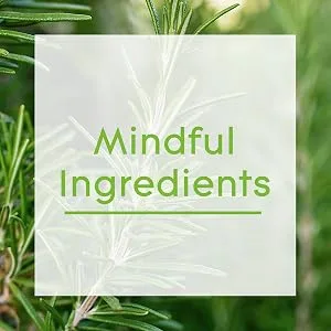 Glade Aromatherapy Reed Diffusers Essential Oils Diffuser with Refreshing Fragrance Refreshing Energy with Rosemary & Juniper 80ml 80 ml (Pack of 1) Refreshing Energy - mindful ing