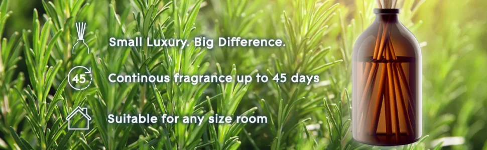 Glade Aromatherapy Reed Diffusers Essential Oils Diffuser with Refreshing Fragrance Refreshing Energy with Rosemary & Juniper 80ml 80 ml (Pack of 1) Refreshing Energy - small lux