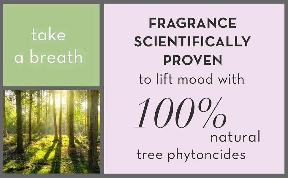 William Morris At Home Forest Bathing Moisturising Bath Foam Spa | Enriched with Vitamins A and E | Cruelty Free and Vegan Friendly | 300ml - William Morris At Home Forest Bathing Large Purple Cosmetic Wash Bag