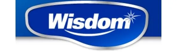Wisdom Dental Sticks 100 100 Count (Pack of 1) - product information 1