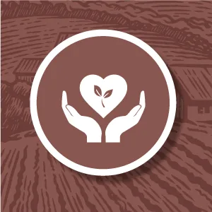 Biopocket Organic Roasted Hazelnuts 600g Roasted Hazelnut 600 g (Pack of 1) - biopocket, hazelnut, organic hazelnut, hazelnut kernels, raw hazelnut, roasted hazelnut, happy belly