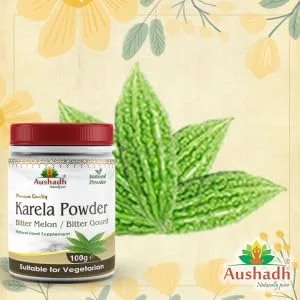 Bitter Gourd (Karela) Powder - Bitter Gourd Karela Powder