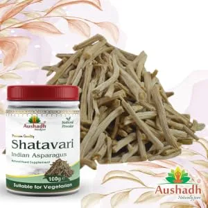 Shatavari Powder - Shatavari Powder