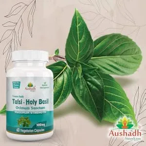 Holy Basil (Tulsi) Capsule - Holy Basil Tulsi Capsule
