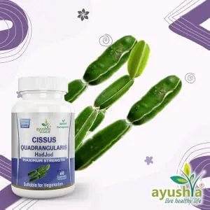 Ayushya Cissus Quadrangularis (Hadjod) Capsule 60 Capsules Natural - Cissus Quadrangularis Capsule