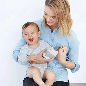 Skip Hop Stroll and Go Portable Baby Soother Owl Contemporary - product information 4