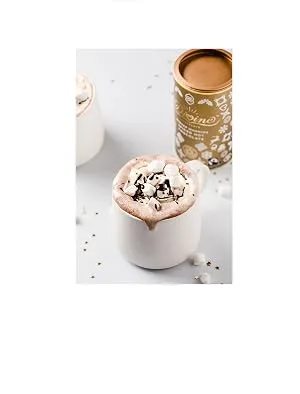Divine Chocolate Spiced Hot Chocolate 300 g 45105018095 Warming Spiced - Exploding Bar