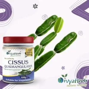 DivyaHerb Cissus Quadrangularis (HadJod) Powder Natural (Pack of 1) - Cissus Quadrangularis Powder