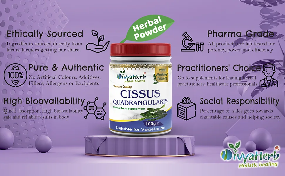 DivyaHerb Cissus Quadrangularis (HadJod) Powder Natural (Pack of 1) - Cissus Quadrangularis Powder