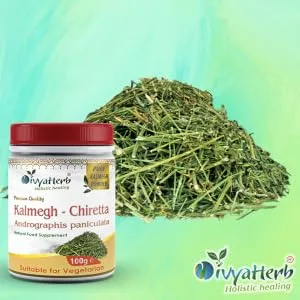 DivyaHerb Andrographis Kalmegh Powder Natural - Kalmegh Powder