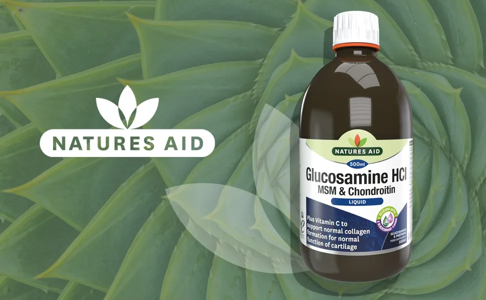 Natures Aid Glucosamine MSM and Chondroitin Liquid with Vitamin C Apple and Blackcurrant Flavour 500 ml - natures aid liquid glucosamine and chondroitin with msm