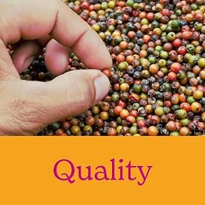 Rajah Chilli Powder 400g - QUALITY
