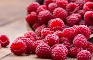 Raspberry Ketone Plus - (60 Capsules) as seen on TV by Evolution Slimming - product information 2