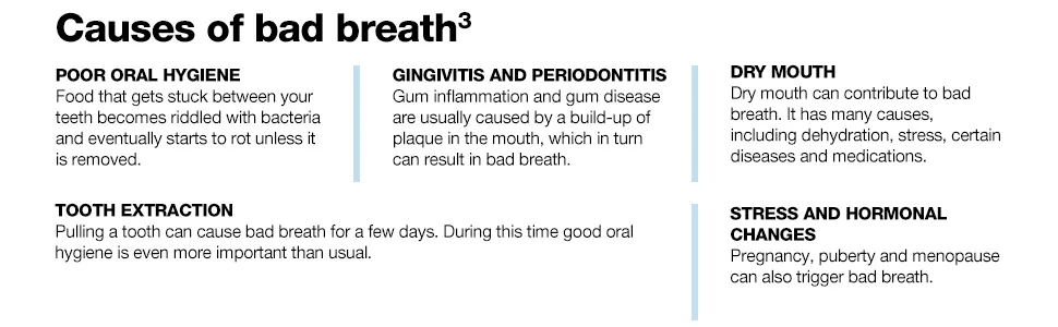 CB12 Mint Menthol Mouthwash Enamel Strengthening Pleasant Breath For 12 Hours 250 ml - cb12