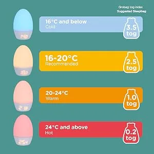 GroEgg Thermometer Room Thermometer GroEgg 2 - Groegg2
