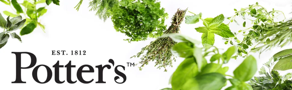Potter's Herbals Memory & Focus | 60 Easy-to-Swallow Capsules | Contains Bacopa Monieri | To Help Support Concentration And Memory And Focus - banner