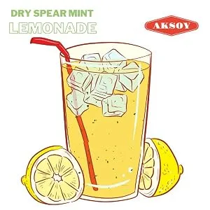 Aksoy Premium Quality Pure Dried Mint - Spearmint - 100% Natural 250gr 250.0 grams - Mint Lemonade