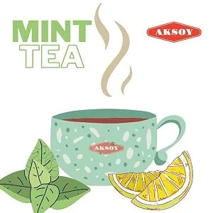 Aksoy Premium Quality Pure Dried Mint - Spearmint - 100% Natural 250gr 250.0 grams - Mint Tea