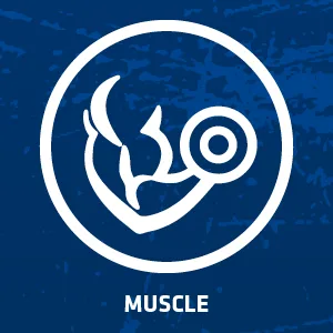 USN Micronized Creatine Monohydrate Powder 500g: Improve Your Performance With Unflavoured Creatine Powder Energy Boosting Pre train and Post Workout Recovery Powder - Muscle