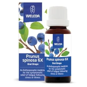 Weleda Digestive Calming Drops 25ml - Prunus Spinosa 6X - Oral Drops