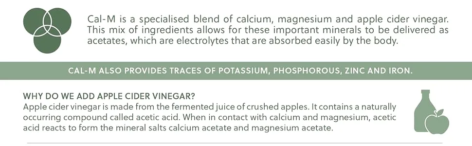 Cal-M Capsules | Calcium & Magnesium Blend with Cider Vinegar | Cal-mag Supplement | 120 Vegan Capsules | G&G Vitamins - Cal-M