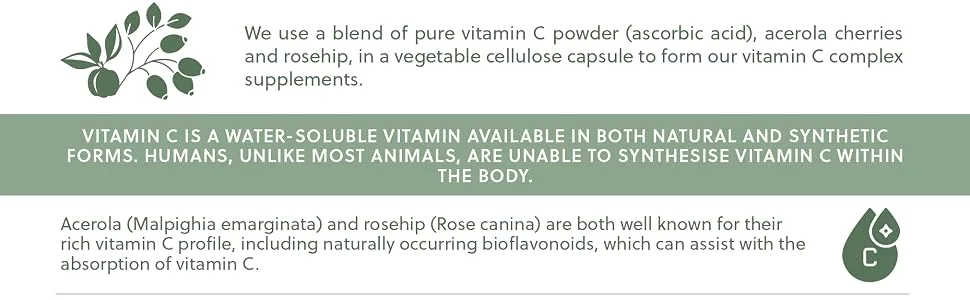 High Strength Vitamin C Capsules | 1000mg Vitamin C per Capsule | 120 Vegan Capsules | with Rosehip and Acerola | G&G Vitamins - Vitamin C