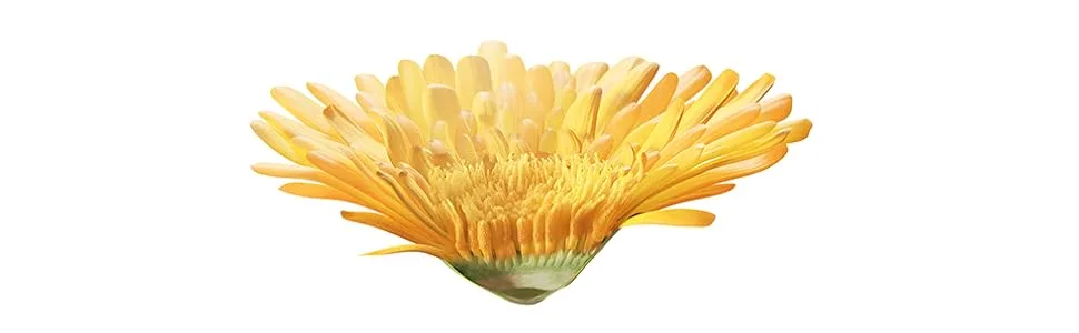 Weleda Baby Calendula Nappy Cream 75ml (Pack of 1) 75 ml (Pack of 1) - plant