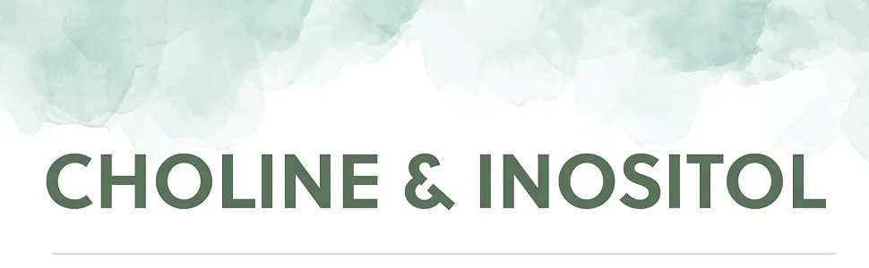 Choline (Bitartrate) & Inositol Capsules | 250mg Choline & 250mg Inositol per Capsule | 120 Vegan Capsules | G&G Vitamins - Choline and Inositol