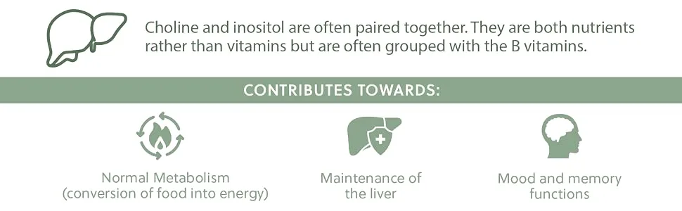 Choline (Bitartrate) & Inositol Capsules | 250mg Choline & 250mg Inositol per Capsule | 120 Vegan Capsules | G&G Vitamins - Choline and Inositol