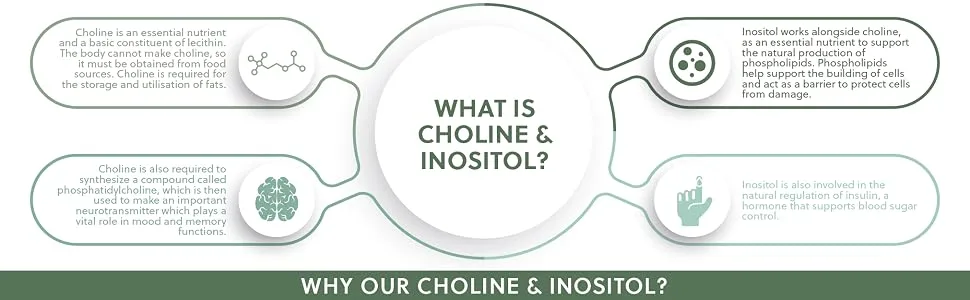 Choline (Bitartrate) & Inositol Capsules | 250mg Choline & 250mg Inositol per Capsule | 120 Vegan Capsules | G&G Vitamins - Choline and Inositol