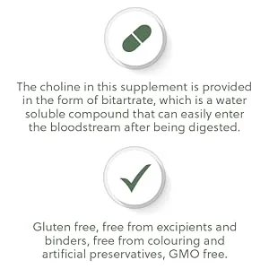 Choline (Bitartrate) & Inositol Capsules | 250mg Choline & 250mg Inositol per Capsule | 120 Vegan Capsules | G&G Vitamins - Choline and Inositol