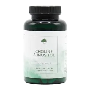Choline (Bitartrate) & Inositol Capsules | 250mg Choline & 250mg Inositol per Capsule | 120 Vegan Capsules | G&G Vitamins - Choline and Inositol