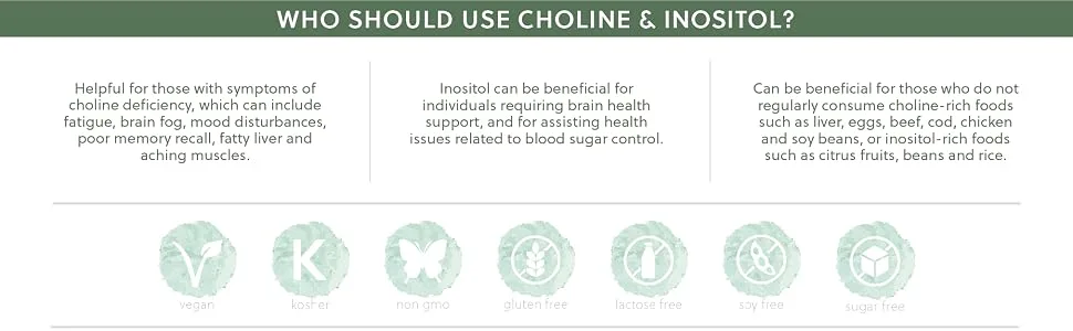 Choline (Bitartrate) & Inositol Capsules | 250mg Choline & 250mg Inositol per Capsule | 120 Vegan Capsules | G&G Vitamins - Choline and Inositol