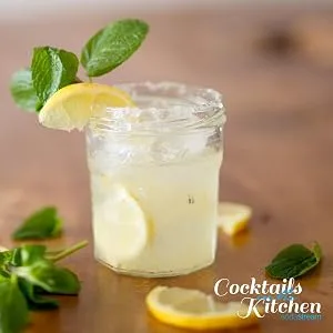 SodaStream Zeros Orange and Mango Syrup - bottle co2 fizzy water spirit sparkling maker home kitchen gift accessory summer cocktail party