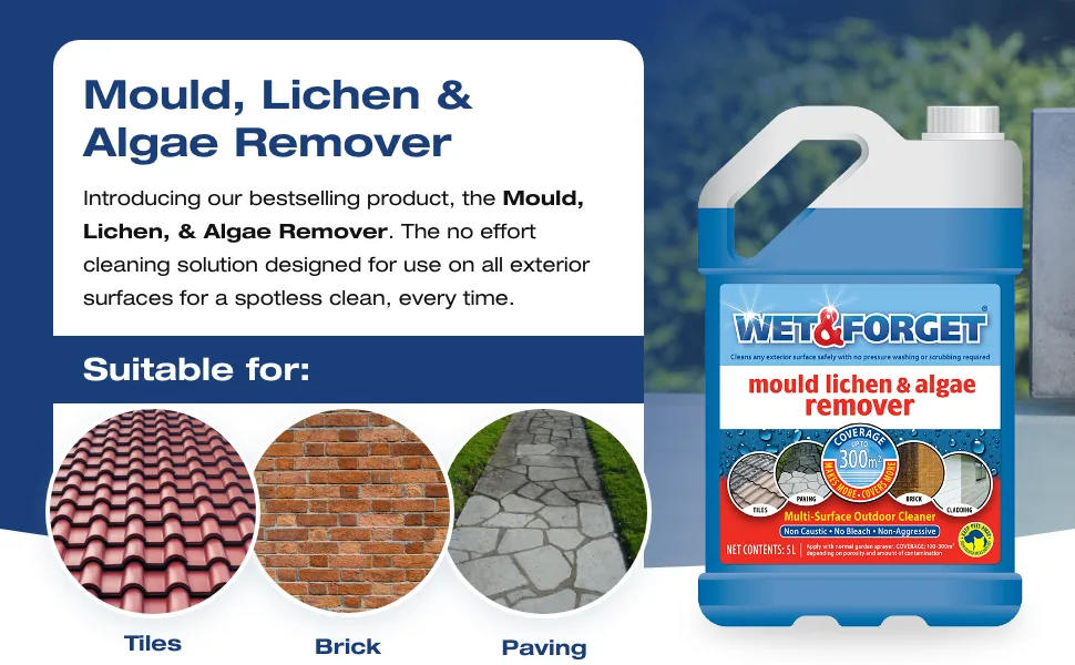 Wet & Forget Mould Lichen & Algae Remover Outdoor Cleaning Solution Black Mould Remover Bleach Free 2 Litre 2 l (Pack of 1) Single - MLA A+ Suitable For