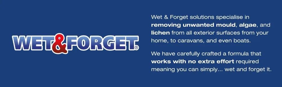 Wet & Forget Mould Lichen & Algae Remover Outdoor Cleaning Solution Black Mould Remover Bleach Free 2 Litre 2 l (Pack of 1) Single - Wet &amp; Forget Header