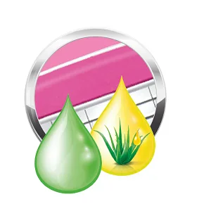 Wilkinson Sword Quattro for Women Sensitive 3 Razor Blades - Plants.