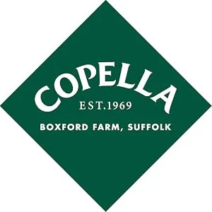 Copella Smooth Orange Juice 900ml - Copella Apple Juice