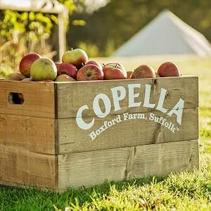 Copella Smooth Orange Juice 900ml - copella apple juice