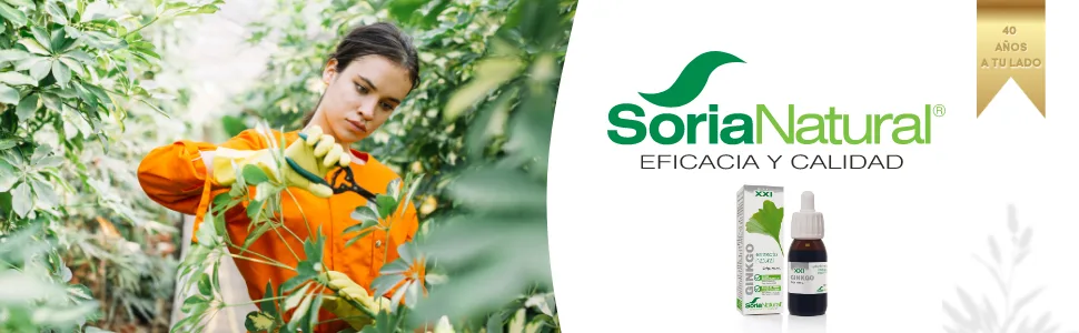 Soria Natural Ginkgo Biloba Natural Extract 50ml 50 ml (Pack of 1) - ginkgo